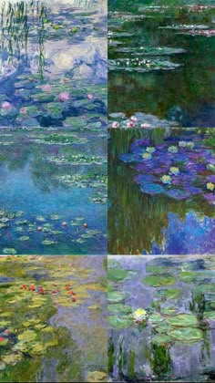 three different paintings of water lilies and lily pads