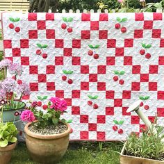 a red and white quilt sitting on top of a green field next to potted plants