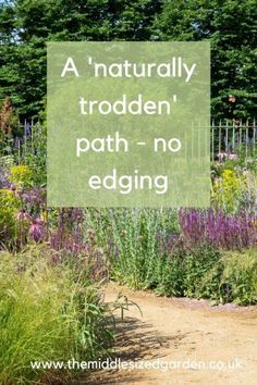 a garden filled with lots of purple flowers and green plants next to a dirt road