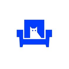 a white cat sitting on top of a blue couch