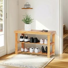 there is a shelf with shoes on it in the living room next to a potted plant