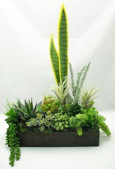 an arrangement of plants and greenery in a wooden planter on a white background