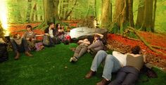 group of people sitting in the middle of a forest with mossy ground and trees