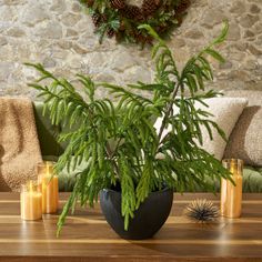 a potted plant sitting on top of a wooden table