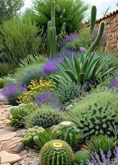 30 Modern Cactus Garden Ideas to Instantly Refresh Your Landscape (2024) Garden Cactus Ideas, Cactus Garden Outdoor Landscape Design, Cactus Garden Outdoor, Cactus Garden Ideas, Covered Pathway, Cactus Yard, Landscaping Succulents, Palm Springs Garden