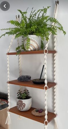 some shelves with plants and bowls on them