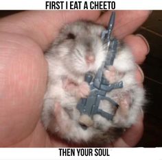 a person holding a hamster in their hand with the caption first eat a cheeto then your soul