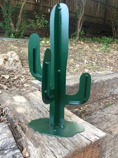 a green cactus sitting on top of a piece of wood