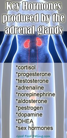 CLICK HERE to read about adrenal health, adrenal fatigue, signs and symptoms and what to do about it. http://goodfoodeating.com/2234/ What Is Adrenal Fatigue, Adrenal Glands, Endocrine System, Hormone Health