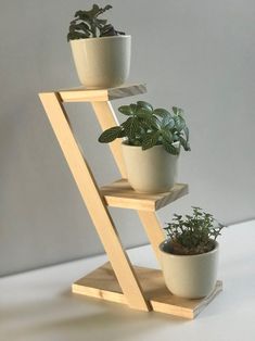 three potted plants sitting on top of a wooden shelf