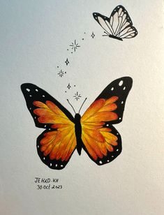 two butterflies flying next to each other