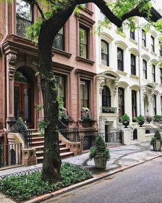 several row houses line the street in front of each other on a city street with trees and flowers