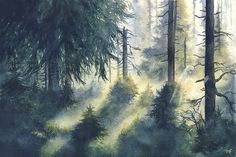 a painting of trees in the woods with sunlight coming through them and fog rising from the tops