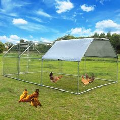 three chickens in a chicken coop on the grass with a blue sky and clouds behind them