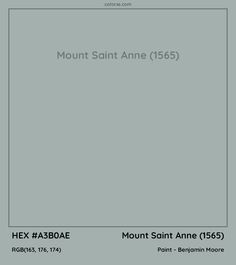 the front cover of mount saint anne 1565, which is in grey and black