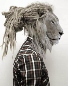 a lion with dreadlocks on his head wearing a button up shirt and plaid shirt