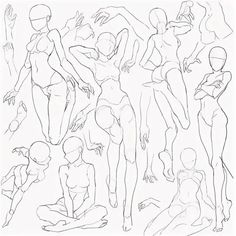 a line drawing of various female body shapes and poses, all in black and white