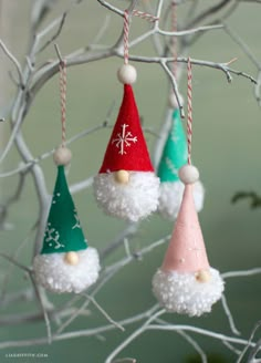 three christmas ornaments hanging from a tree with white and red hats on them, all decorated in pom - poms