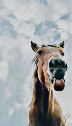 a horse with its tongue hanging out in front of a cloudy blue sky and white clouds