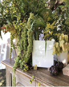 a table topped with lots of plants next to a white card and some yellow flowers