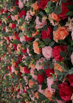 the wall is covered with many different colored flowers and greenery, including pink roses