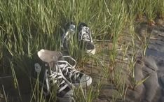 two pairs of shoes are sitting in the tall grass by the water's edge