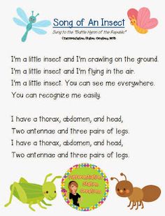 an insect poem for children to read