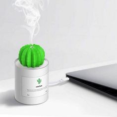 a green cactus sitting on top of a white table next to a laptop