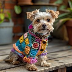 a small dog wearing a colorful sweater on top of a wooden table next to potted plants