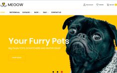 a website page with a dog wearing a sweater on it's head and the words, your furry pets