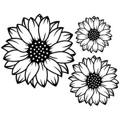 three sunflowers are shown in black and white, with one large flower on the left