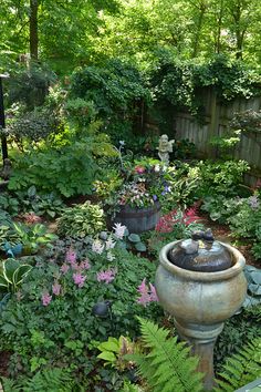 a garden filled with lots of plants and flowers