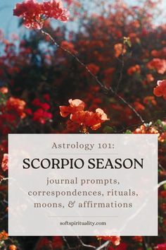 Journal prompts, correspondences, rituals, moons, and affirmations of scorpio season Libra Season, Trust The Process, Shadow Work, Reading Journal, Spiritual Practices, New Opportunities