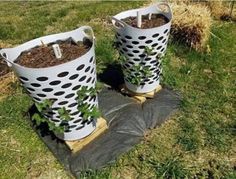 two planters that are sitting in the grass