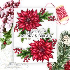 a christmas card with poinsettis and holly on it, surrounded by other holiday decorations