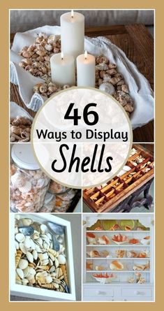 Coastal Decor Ideas Interior Design DIY Shopping: 52 Beach Decor Ideas for Shell Collections | Seashell projects, Beach crafts diy, Shell crafts diy
