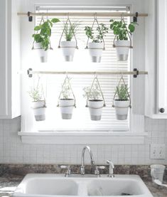 a kitchen sink under a window with hanging plants on the windowsill and in front of it