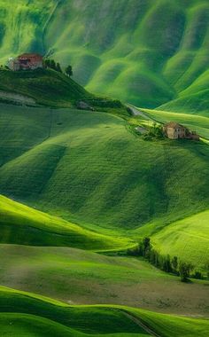 green rolling hills with houses in the distance