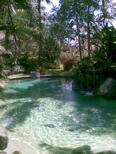 a small pool in the middle of some trees and rocks with water running through it