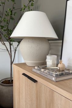 a white lamp sitting on top of a wooden table next to a potted plant