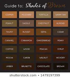 the shades of brown are shown in this graphic style, and it is easy to use