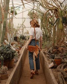 a woman walking down a path in a greenhouse filled with cacti and succulents