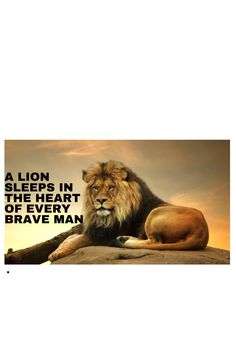 a lion laying on top of a rock with a quote above it that reads, a lion sleeps in the heart of every brave man