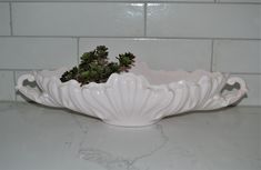 a white bowl with some plants in it on a counter top next to a tile wall