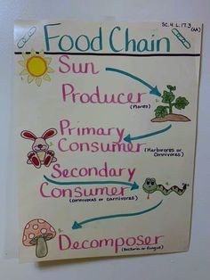 a sign on the side of a wall that says, food chain sun product primary secondary secondary secondary secondary secondary secondary secondary secondary secondary