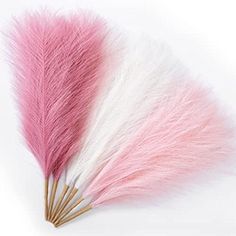 two pink and white feathers on top of each other