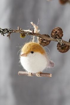 a small white and brown bird hanging from a branch