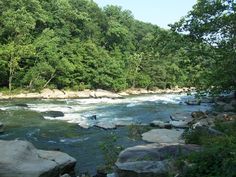 a river running through a forest filled with lots of rocks and green trees in the background