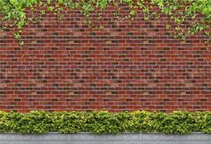 Brick Wall Creeper Green Leaves Backdrops for Photo Studio Doll House Wallpaper, Custom Backdrops, Seamless Backdrop, Iphone Background Images, Parking Design, Printed Backdrops, House Wall, Wall Background, Custom Backdrop