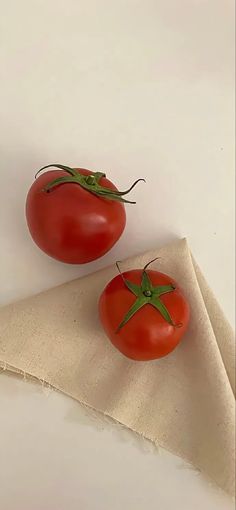 two tomatoes sitting on top of a piece of cloth next to each other with green stems